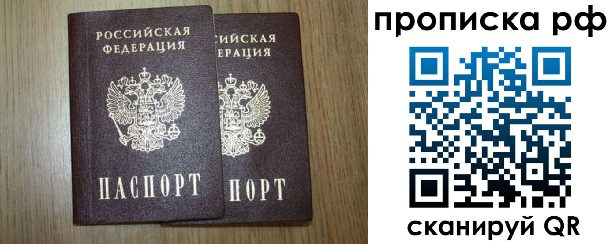 прописка в Ленинградской области